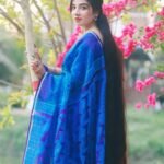 New Collection Saree (Copy)